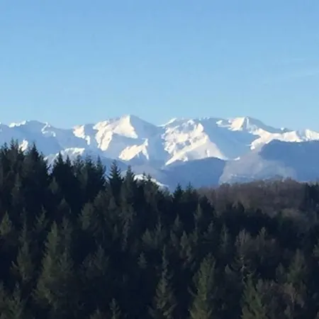 La Fount Del Fer * Camarade