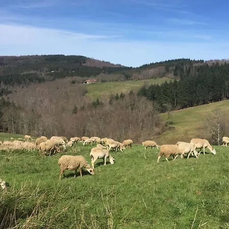 La Fount Del Fer